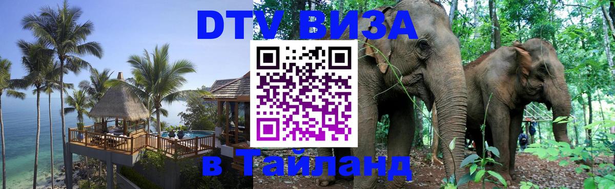 Оформление DTV визы под ключ: стоимость и тарифы, только загранпаспорт - 20.11.2025 